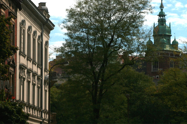 Free Bootstrap Template by uicookies.com